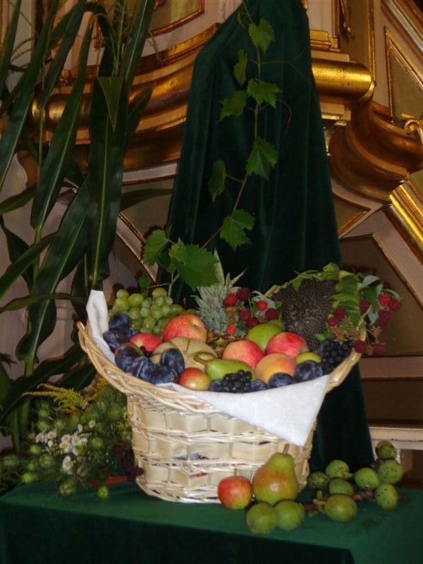 zielnej12 010
